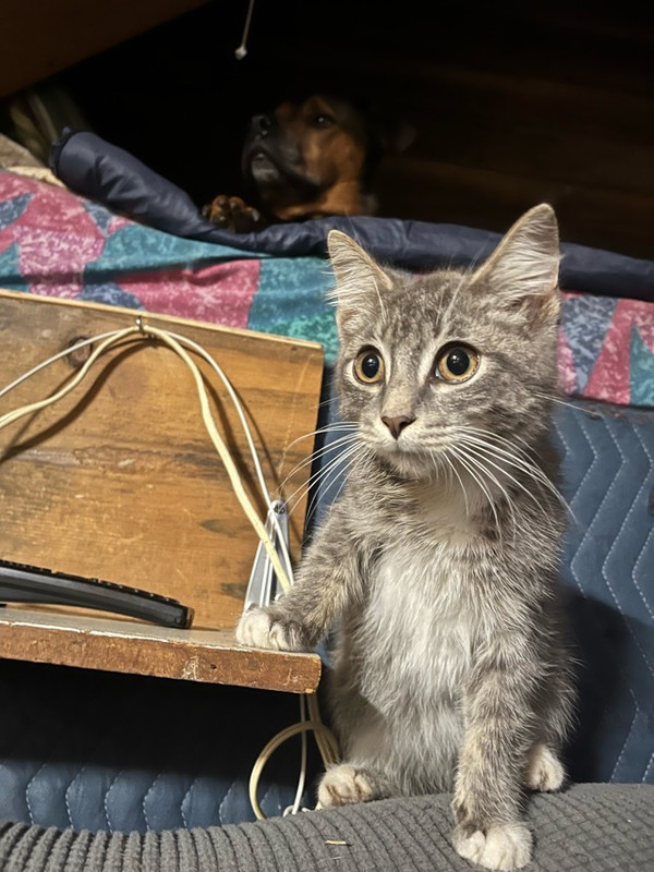 A6F48133-AD40-469F-9BBA-BF2E3724DBEA