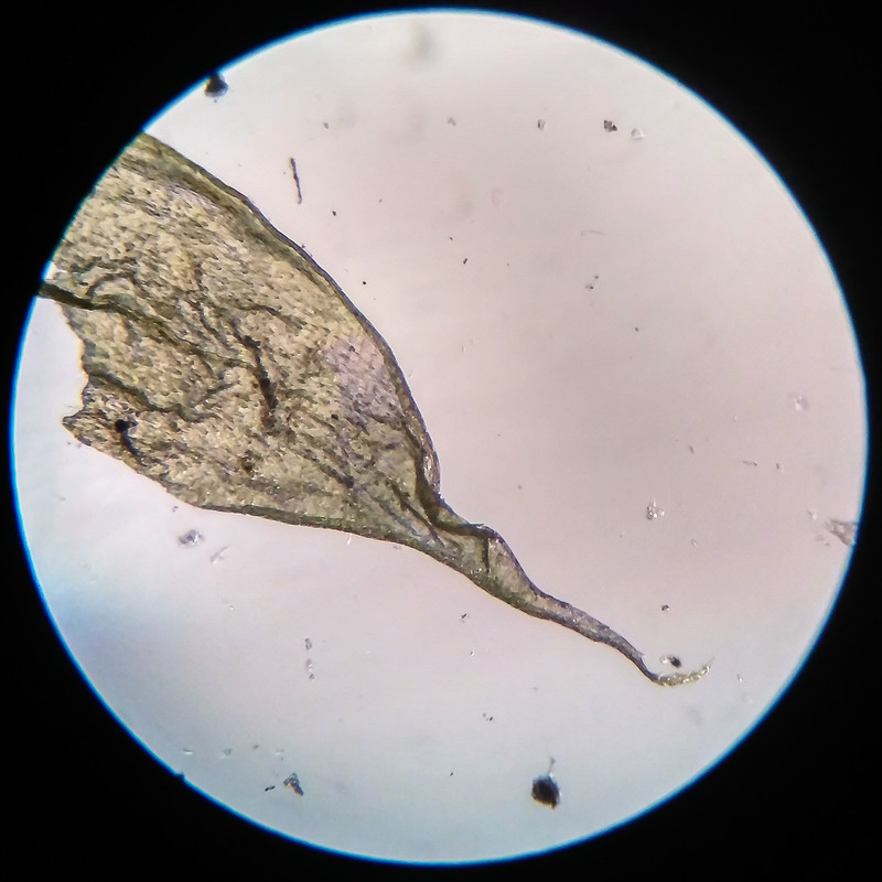 IMG 20250616 205345 HDR