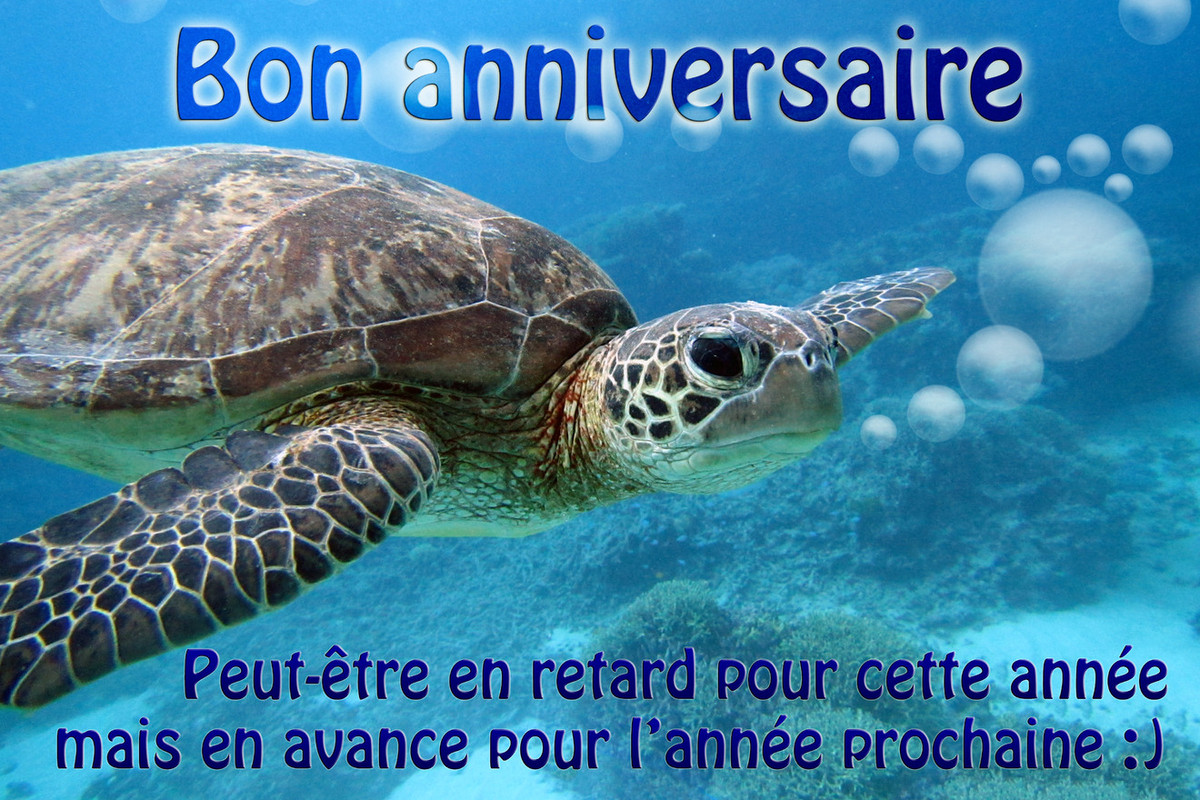 https://i.postimg.cc/26CXqV47/anniversaire-carte-retard.jpg