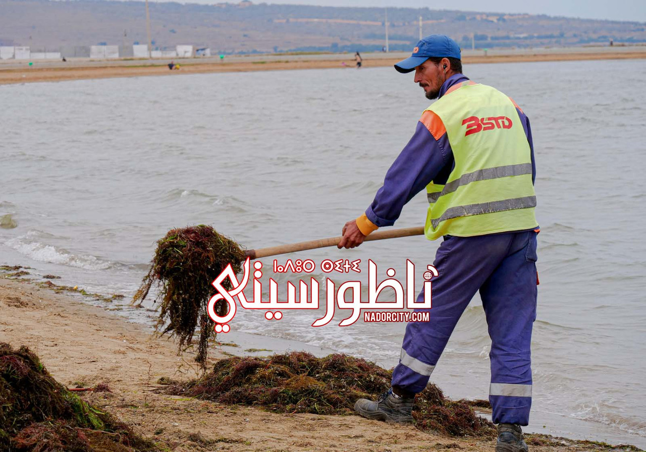 Whats-App-Image-2026-06-05-at-20-05-35-(3)