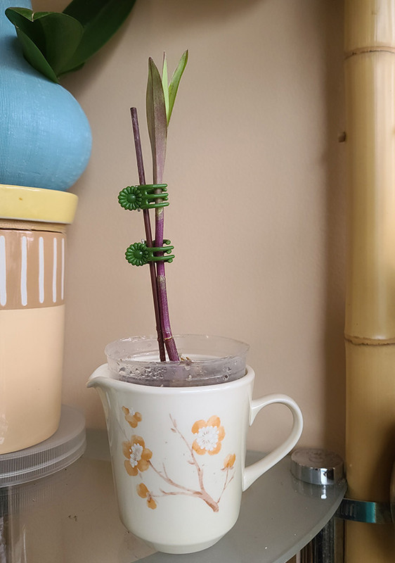 [Image: 20231230-113313.jpg]