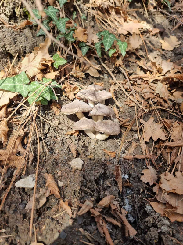 изображение_viber_2023-01-10_09-09-08-418