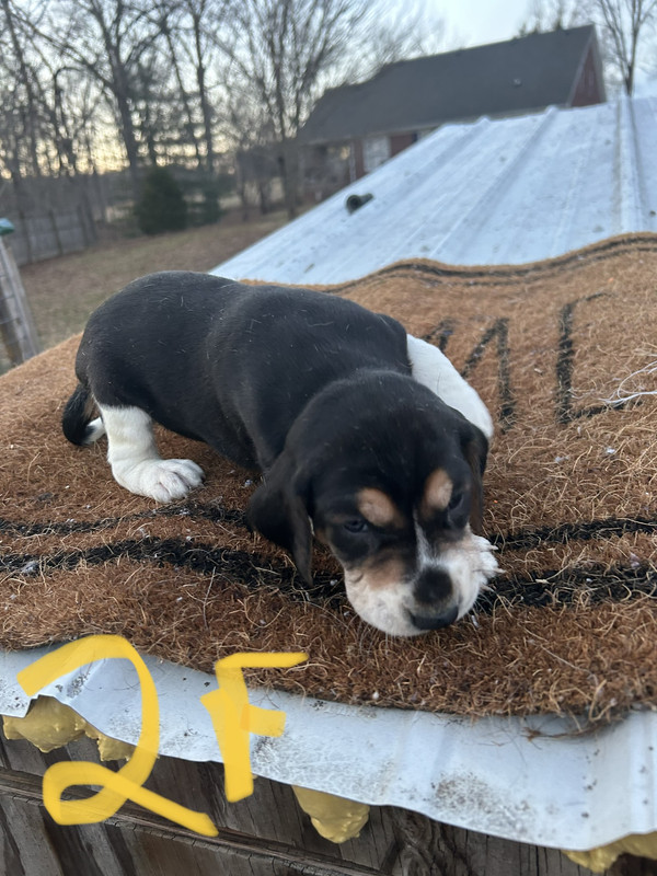 5DA721D8-FDC8-407A-88E9-9C50F31A0317