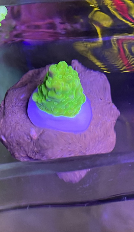 37C44043-B1CB-4B17-A8B0-CCCB299E636E