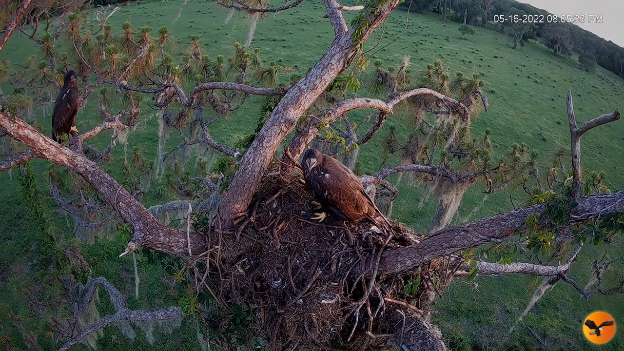 EC 4K Overhead Cam 4-59-4 screenshot