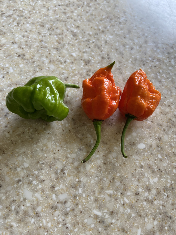 72002681557__D657CA74-FD1D-4A68-8E89-83AA8CAA09D7