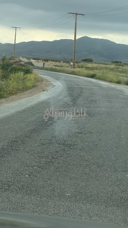 Sequence-01-00-01-41-50-Still021