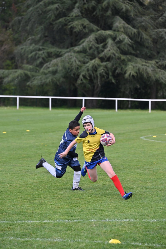 dsc-1735-55181556599-l