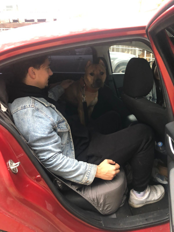 AF2AA437-4059-446A-9B12-0DC6D4F6250C