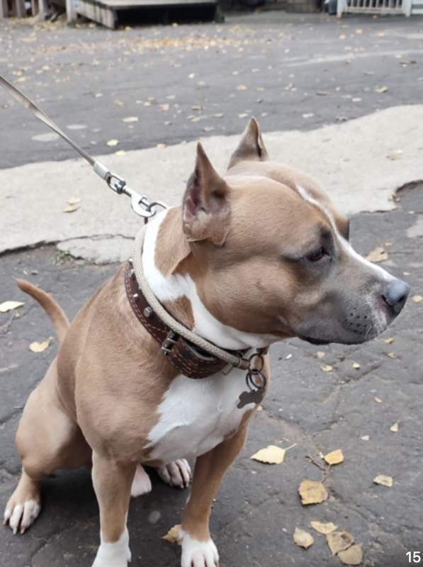 Снимок экрана 2024-10-28 в 19.48.10