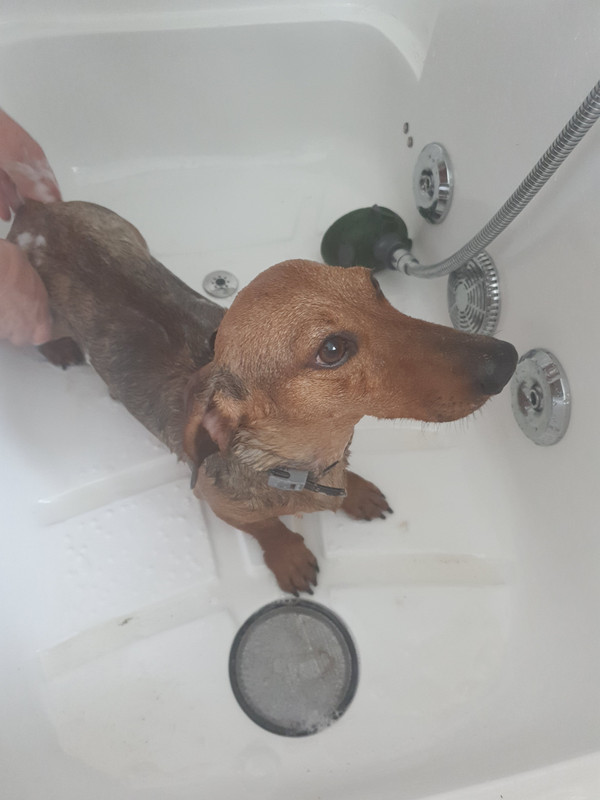 [Image: 20220621-151350.jpg]