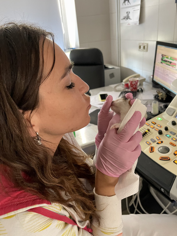 7A1BB0D7-455B-48A5-8A0F-EB77CA9BEC2E