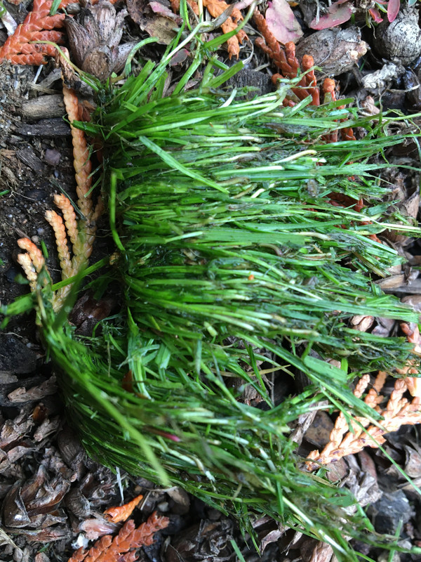 88A0979A-4FB0-4ACA-9A5C-28C8FC7126C5