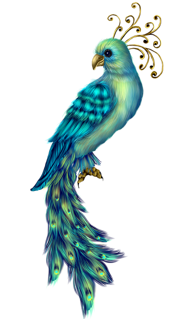 PeacockDreams_MM_Element (80)