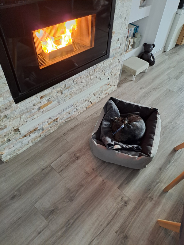 [Image: 20240120-095556.jpg]