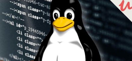 Linux/Unix For DevOps and Developers