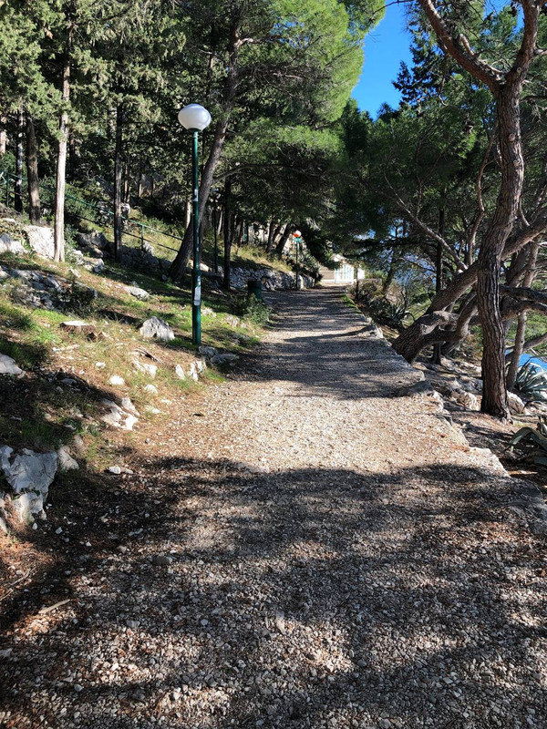 photo_2024-01-29_15-50-49