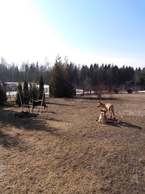 скачанные файлы (1)