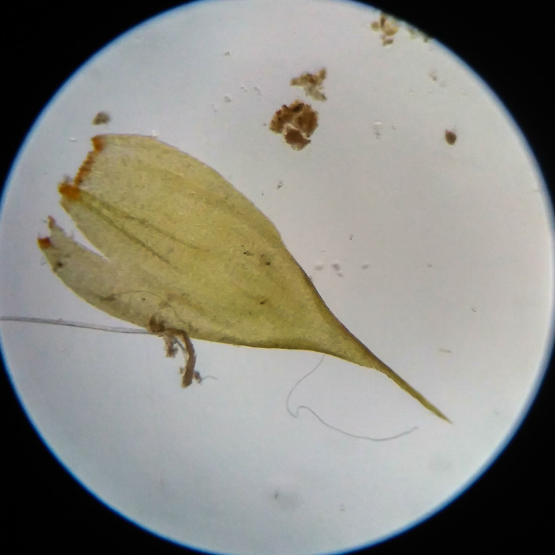 IMG 20250617 111117 HDR