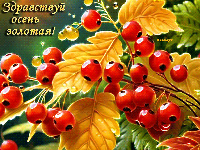Здравствуй осень золотая