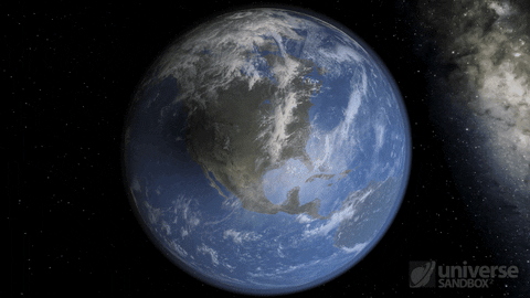 giphy3.webp