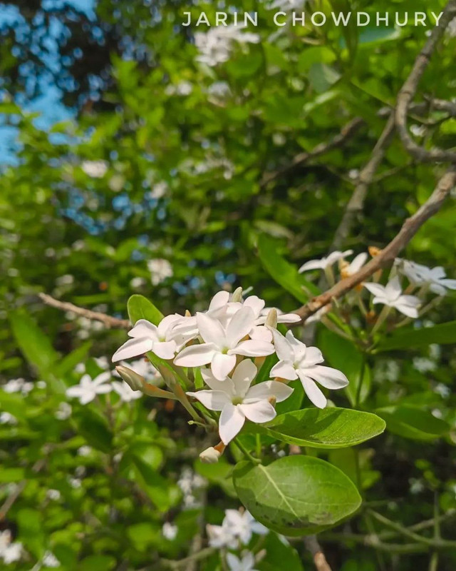 IMG 20260406 181723 222