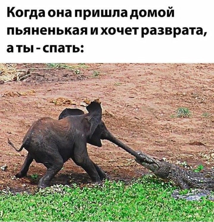 [Изображение: c4581992b89068718b4b835025fe95c3.jpg]