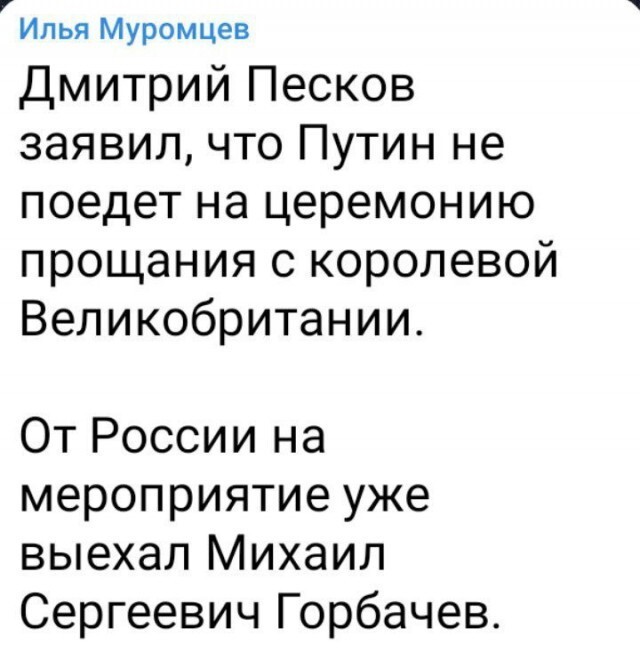 17170543.jpg