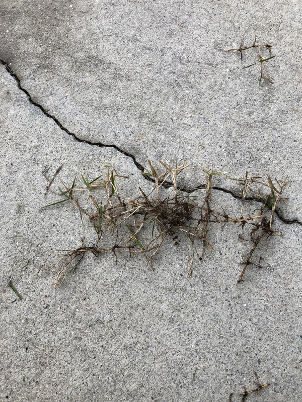 1721CC1C-3345-4D28-A55E-390BE1678699