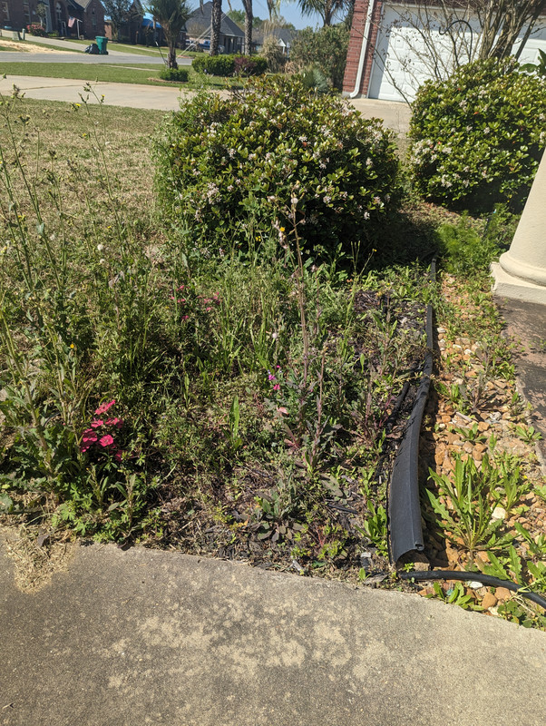 PXL_20230305_163658465