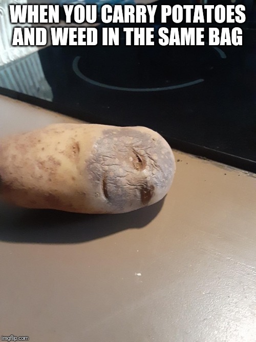 [Image: Potato-weed.jpg]