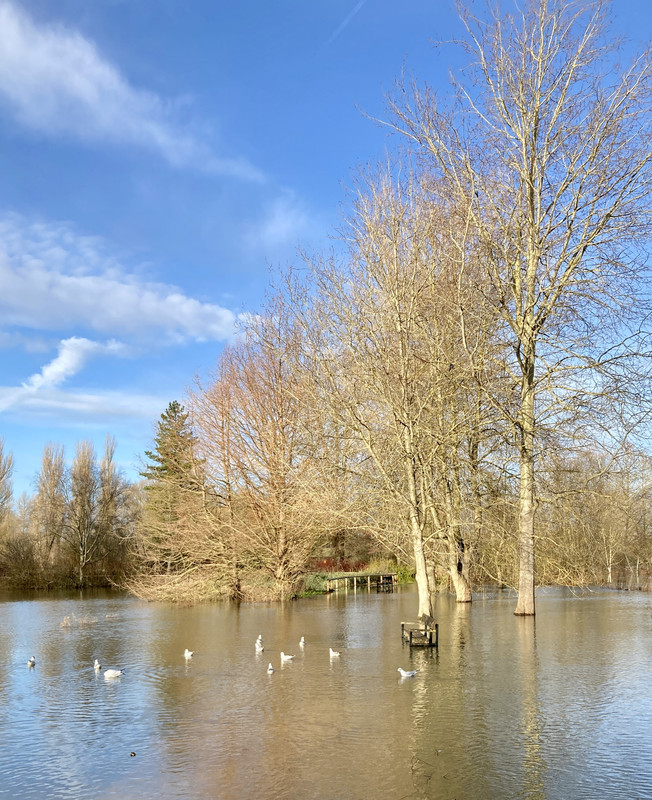 DD70839C-D386-4D2D-9822-706665D1FCE1