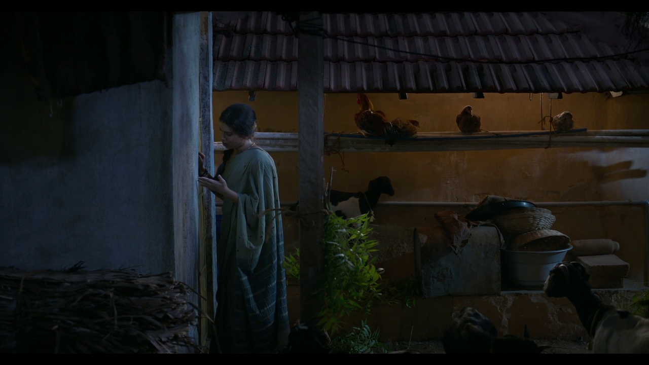 vlcsnap-2025-04-24-21h05m51s310