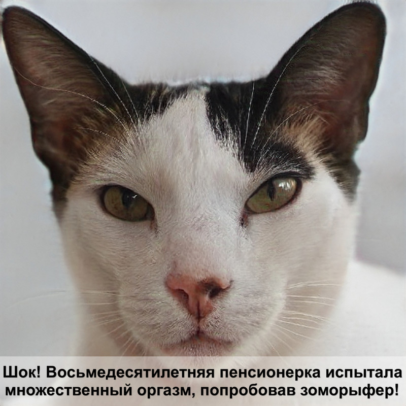 валяный домик для кошки