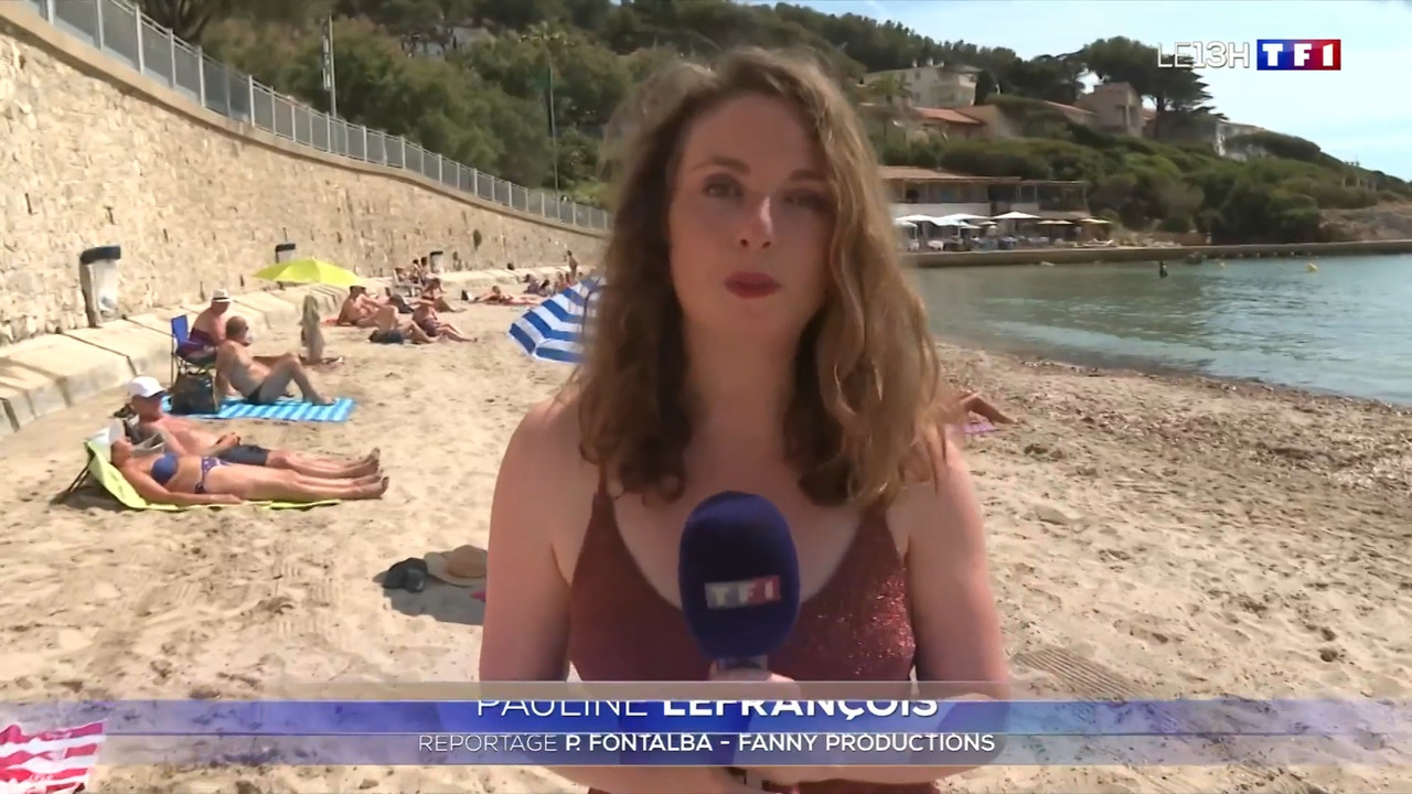 2021-06-11_13_00_TF1_Le-13h.mp4_snapshot_00.28.30.945