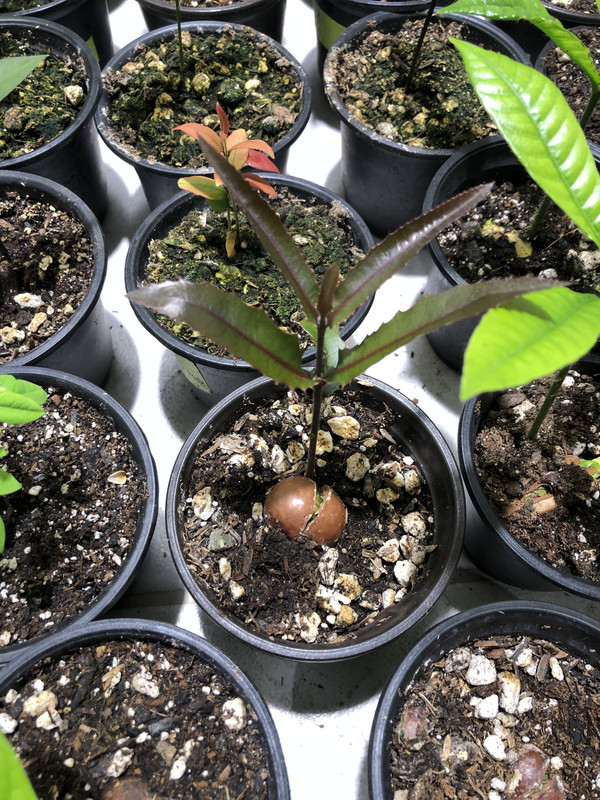 16487350-FD13-4753-8387-5454C3222B6A