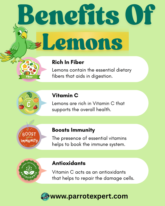Benefits of Lemons for Parrots