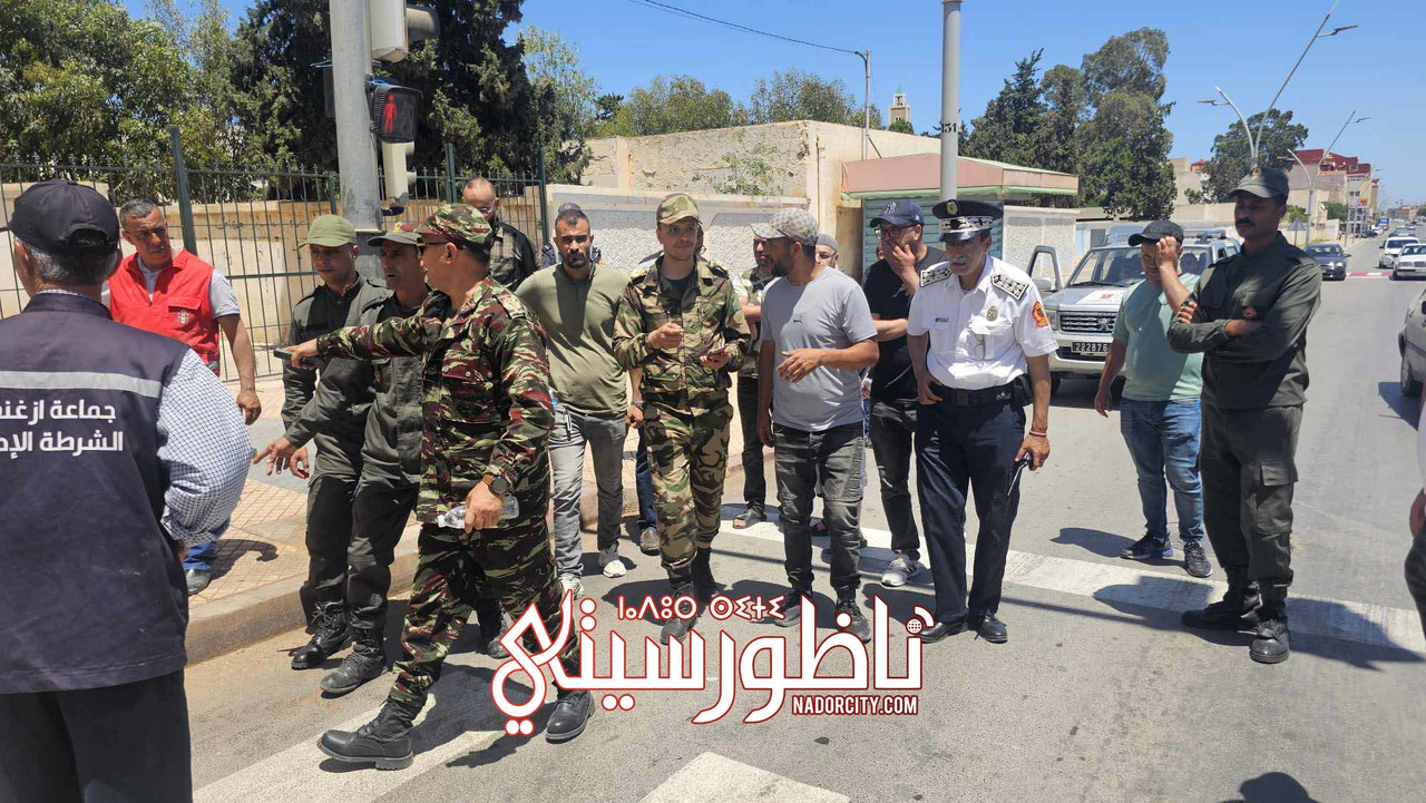 494821053-9801424993287013-8140189413063451418-n