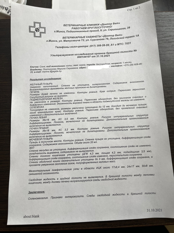 7677400A-C240-49B7-AB28-5C9317B4DFDE