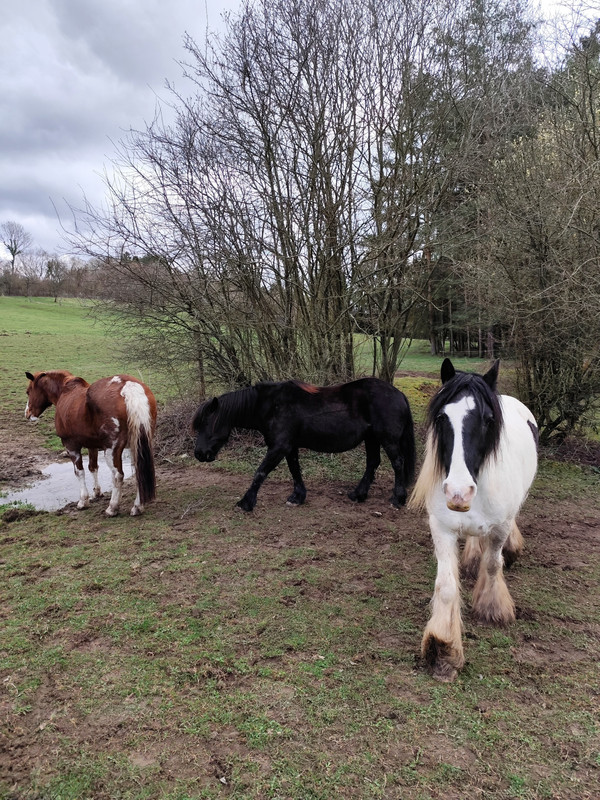 IMG_20250323_112255~2