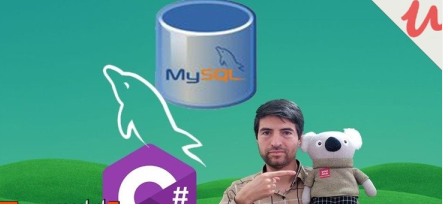 MySQL in C# : Design SQL Pro Database Apps in C# & MySQL