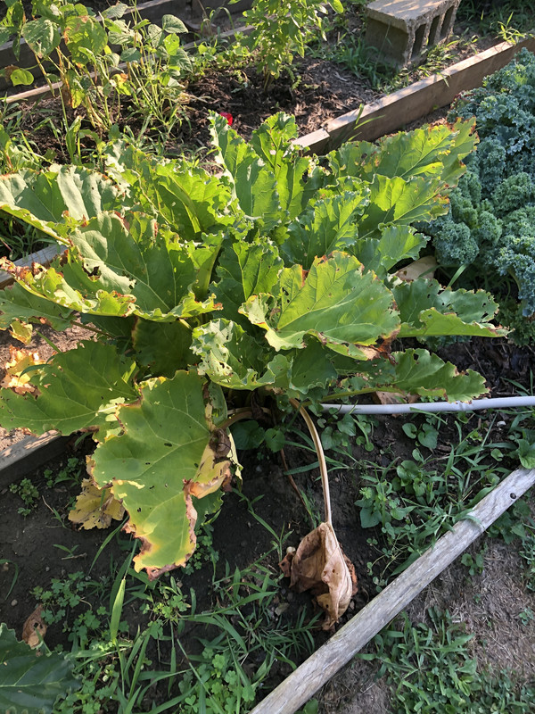 D7C7452E-929E-46C3-96E0-B15D4972C1C4