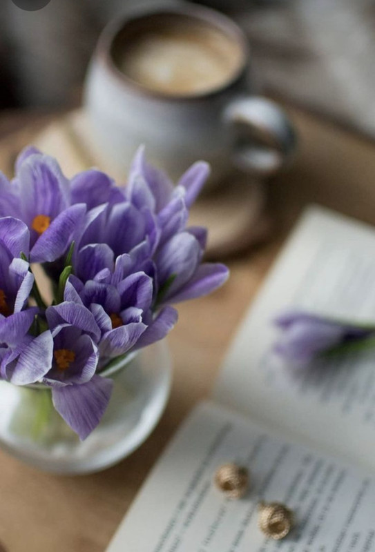 Screenshot_20240328_235639_Pinterest