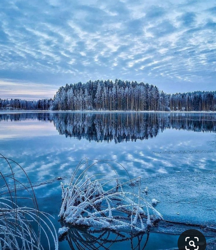 Screenshot_20231024_134706_Pinterest