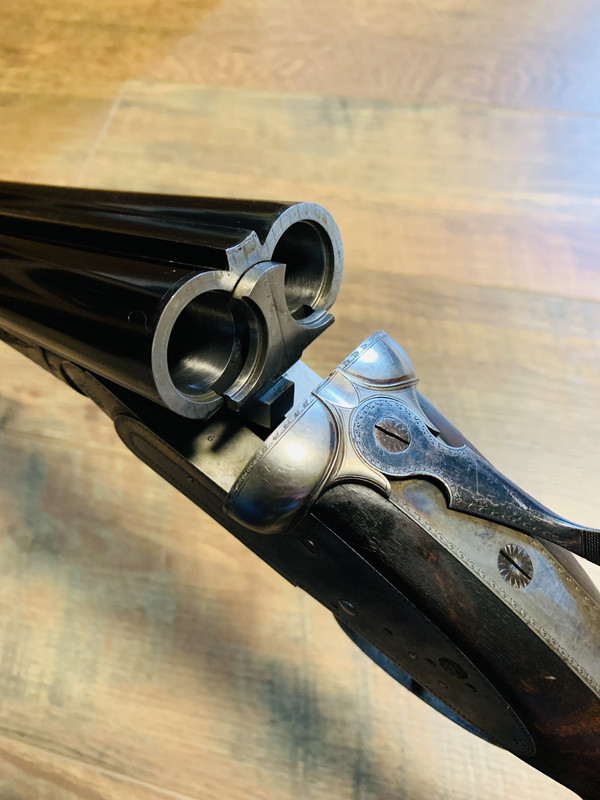 [Linked Image from i.postimg.cc]