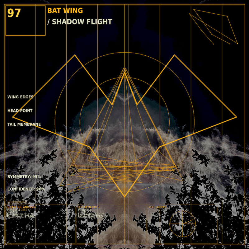 Bat wing