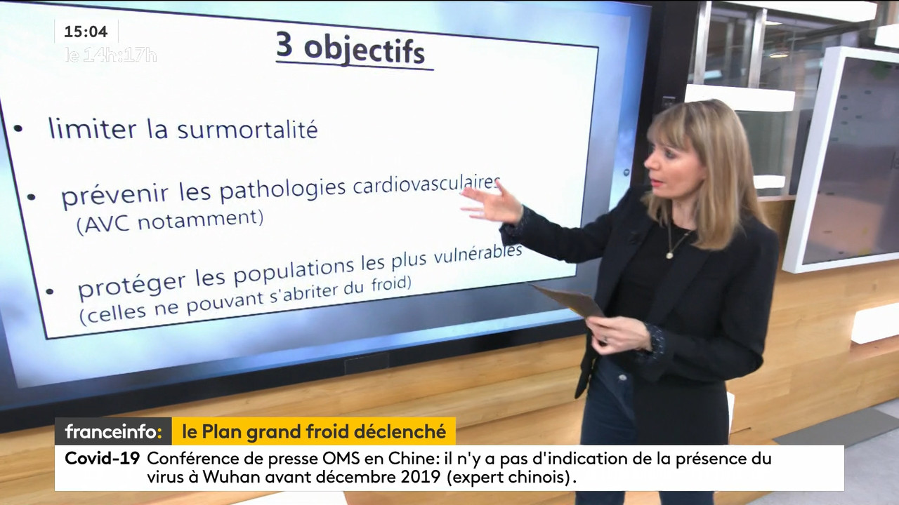 02.09 - 12.59.00 - Le 14h-17h. Au sommaire   Vrai ou fake. - francein..._001.ts_snapshot_00.21.326
