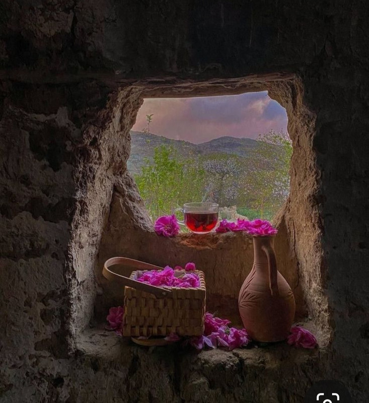 Screenshot_20240331_204946_Pinterest