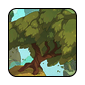 cypress1.png