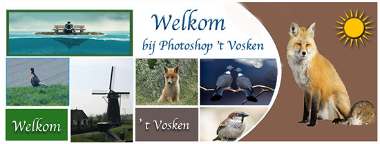 blog-Vosken.jpg